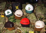HATTRIX Captain Edition Cap - Image 3